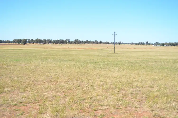Seventh view of Homely rural property listing, - 'Wildwood' 71 Wilesmith Road, Temora NSW 2666