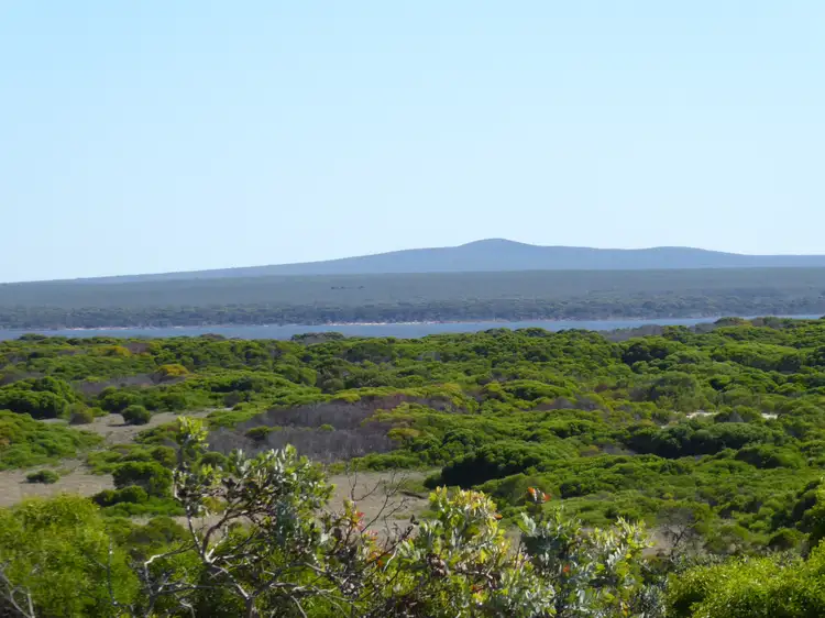 Fifth view of Homely house listing, 447 Hamersley Drive, Hopetoun WA 6348
