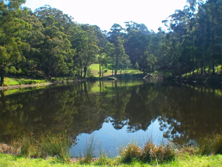 Third view of Homely rural property listing, 3739 Snowy Mtns Hwy, Bemboka NSW 2550