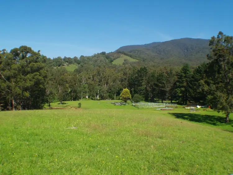 Fifth view of Homely rural property listing, 3739 Snowy Mtns Hwy, Bemboka NSW 2550