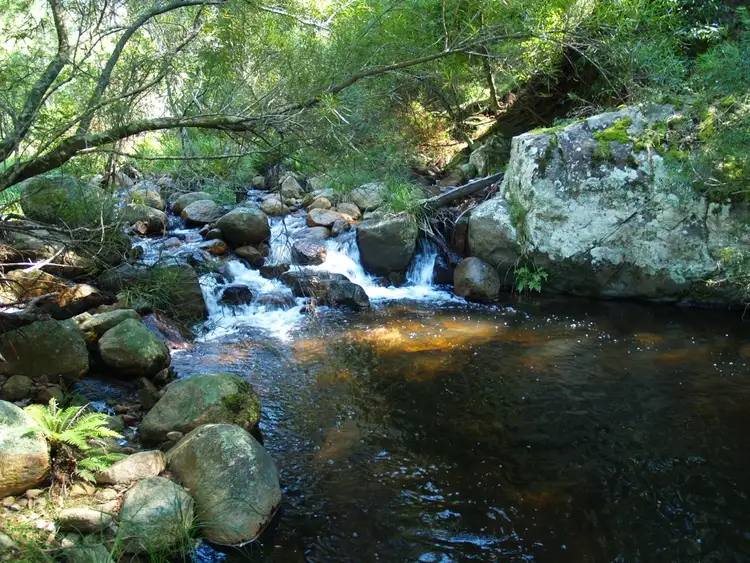 Sixth view of Homely rural property listing, 3739 Snowy Mtns Hwy, Bemboka NSW 2550