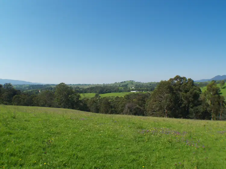 Seventh view of Homely rural property listing, 3739 Snowy Mtns Hwy, Bemboka NSW 2550