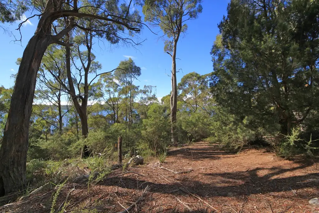 Main view of Homely land listing, 367 Binalong Bay Road, St Helens TAS 7216