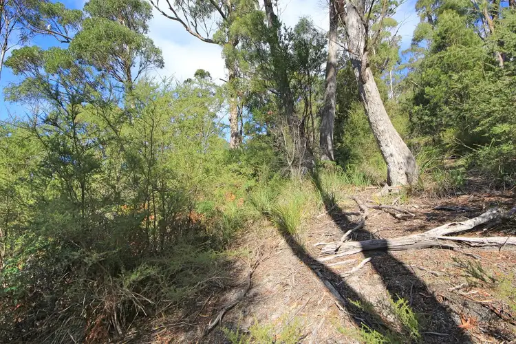 Fifth view of Homely land listing, 367 Binalong Bay Road, St Helens TAS 7216