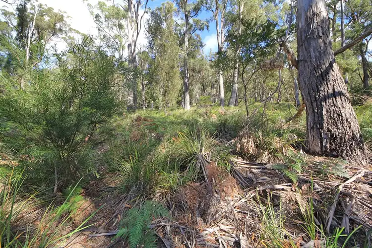 Sixth view of Homely land listing, 367 Binalong Bay Road, St Helens TAS 7216