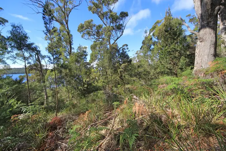 Seventh view of Homely land listing, 367 Binalong Bay Road, St Helens TAS 7216