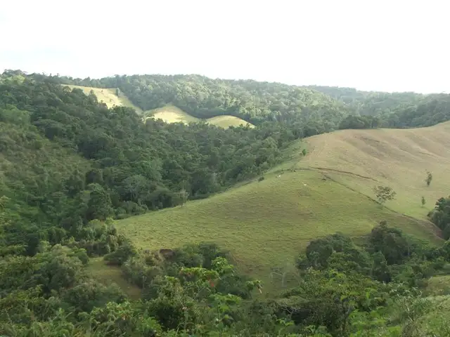 Third view of Homely rural property listing, Address available on request