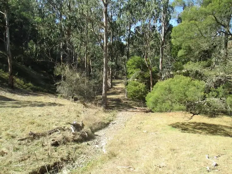 Third view of Homely rural property listing, Lot 2 1575 Skyline Rd, Alexandra VIC 3714