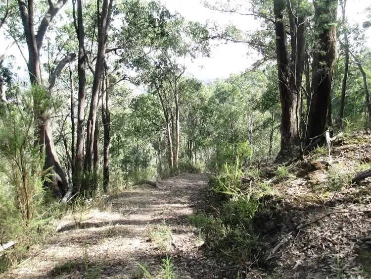 Sixth view of Homely rural property listing, Lot 2 1575 Skyline Rd, Alexandra VIC 3714