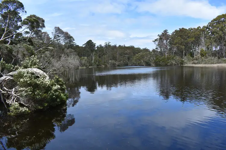 Third view of Homely townhouse listing, 37 Lobster Creek Road, West Ulverstone TAS 7315
