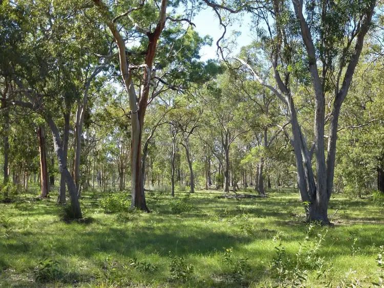 Fifth view of Homely rural property listing, 252 Matchbox Road, Deepwater QLD 4674