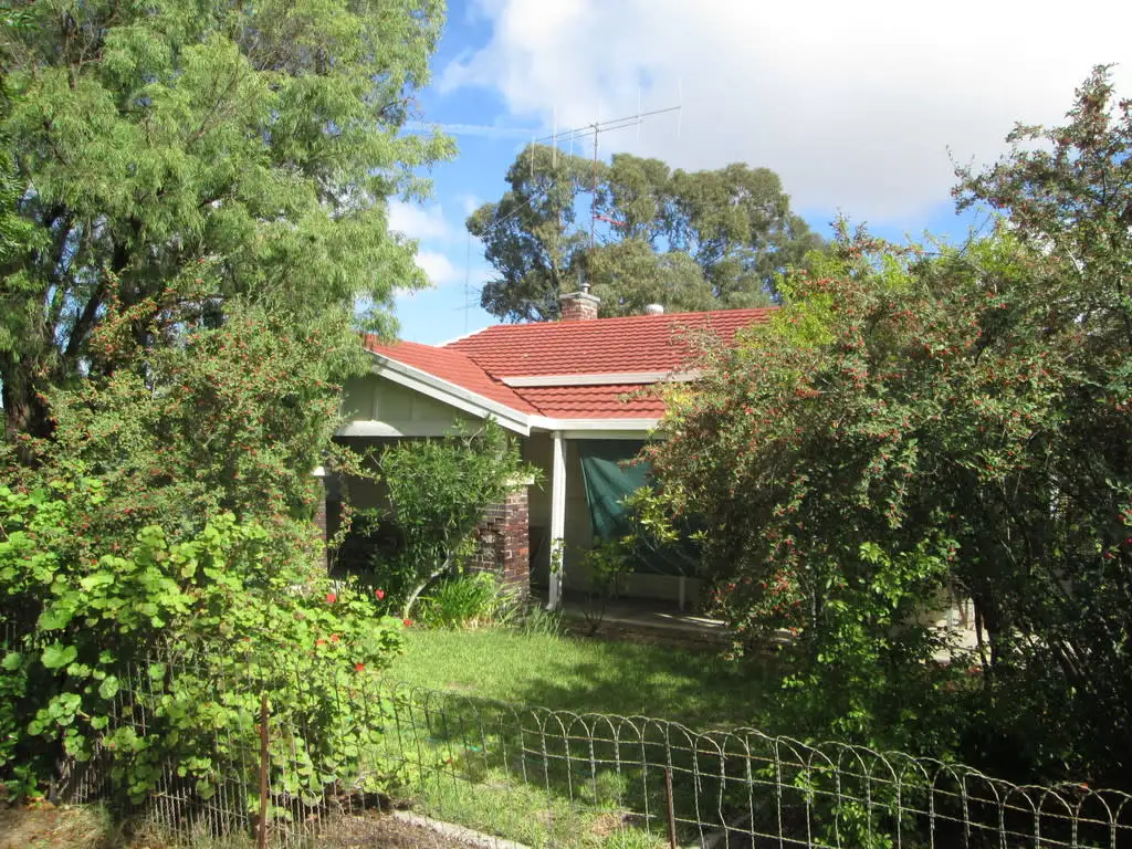 Main view of Homely house listing, 17 Pethick Street, Pinnaroo SA 5304
