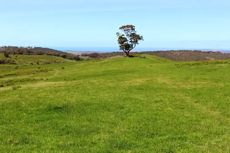 Third view of Homely rural property listing, A23 Strangways Road, Inman Valley SA 5211