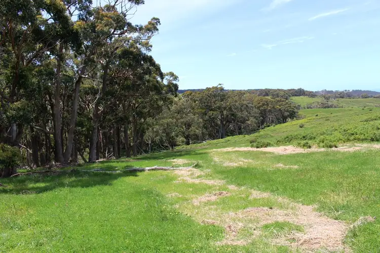 Fifth view of Homely rural property listing, A23 Strangways Road, Inman Valley SA 5211