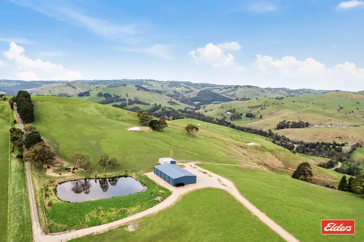 99 Fosters Road, Wild Dog Valley VIC 3953