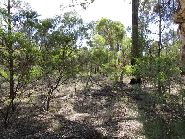 Main view of Homely rural property listing, LOT 55 GORANBA LANE, Tara QLD 4421