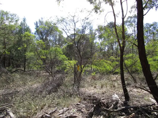 Second view of Homely rural property listing, LOT 55 GORANBA LANE, Tara QLD 4421