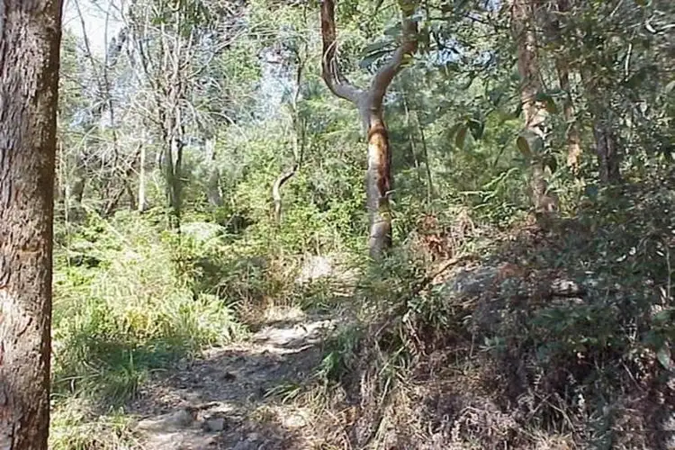 Fourth view of Homely land listing, 32 The Rampart, Umina Beach NSW 2257
