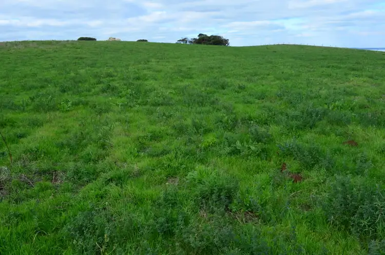 Lot 21 & 22 Powells Road, Robe SA 5276