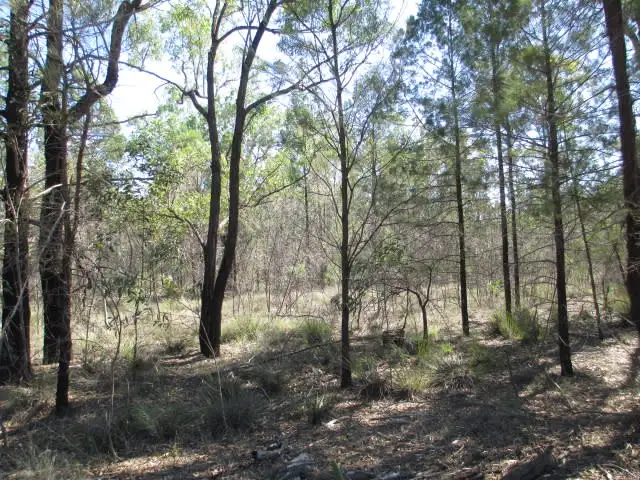 Main view of Homely rural property listing, LOT 33 UPPER HUMBUG ROAD, Tara QLD 4421