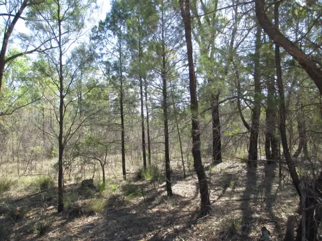 Second view of Homely rural property listing, LOT 33 UPPER HUMBUG ROAD, Tara QLD 4421