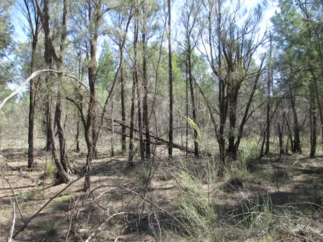 Third view of Homely rural property listing, LOT 33 UPPER HUMBUG ROAD, Tara QLD 4421