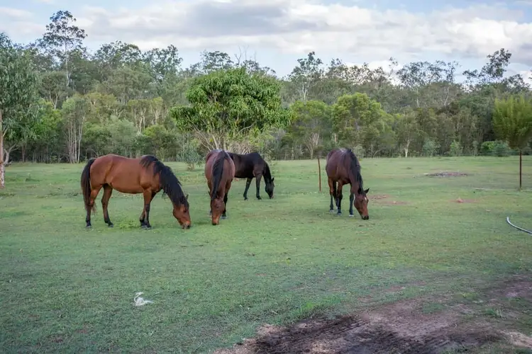 14 Rows Road, Waterloo QLD 4673