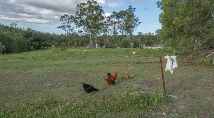 Second view of Homely rural property listing, 14 Rows Road, Waterloo QLD 4673