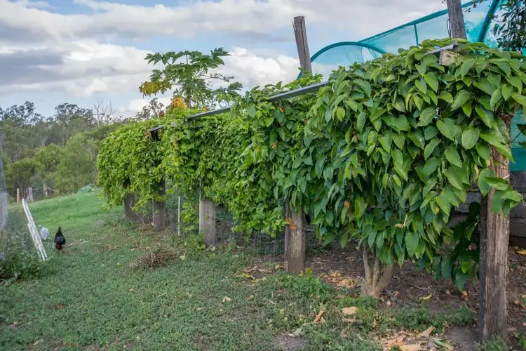 Fifth view of Homely rural property listing, 14 Rows Road, Waterloo QLD 4673
