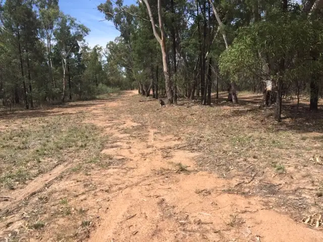 Main view of Homely rural property listing, 228 TIMOTHY ROAD, Tara QLD 4421