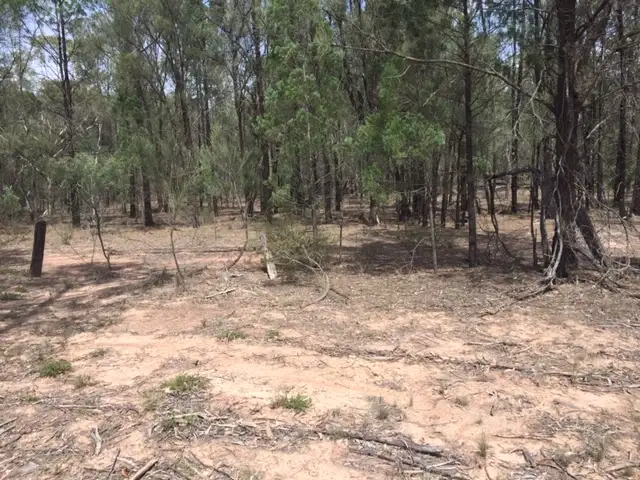 Second view of Homely rural property listing, 228 TIMOTHY ROAD, Tara QLD 4421