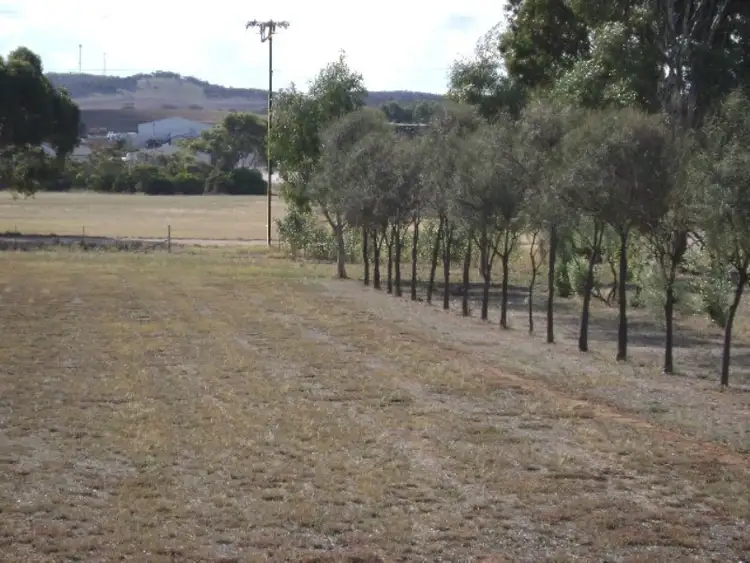 Fifth view of Homely house listing, 85 Golf Drive, Cleve SA 5640