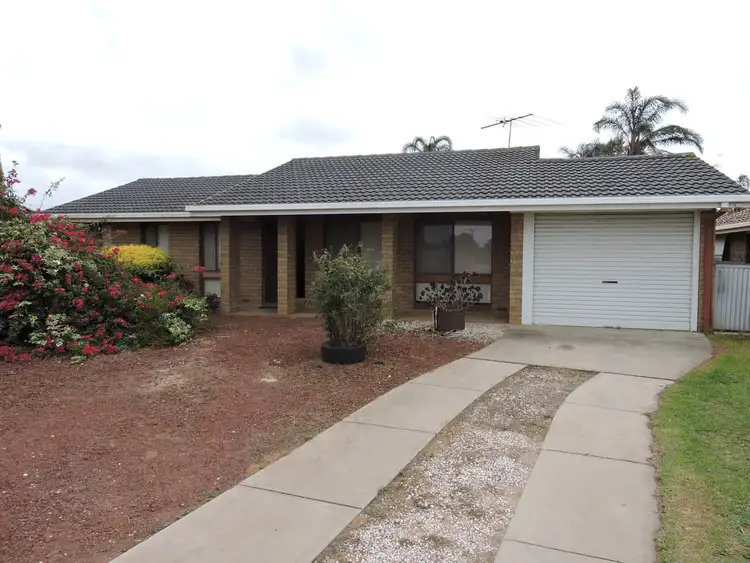 Main view of Homely house listing, 21 Industry Road, Murray Bridge SA 5253