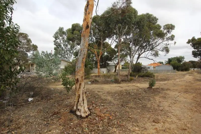 Main view of Homely land listing, 2 Warne Street, Merredin WA 6415