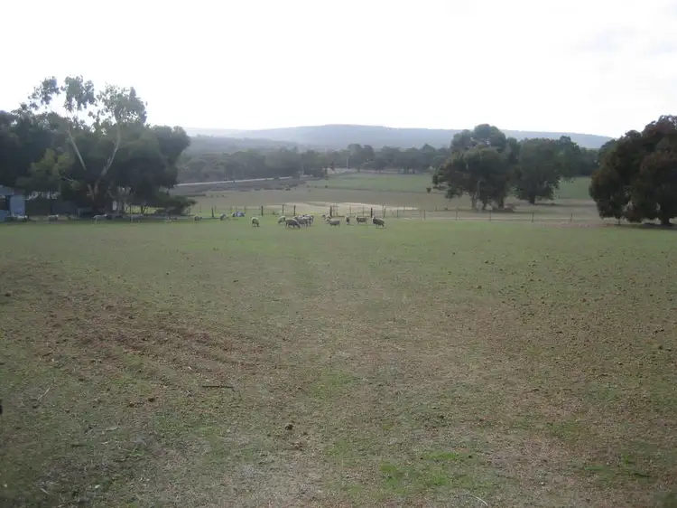 Second view of Homely rural property listing, 29 Vineyard Road, Wundowie WA 6560