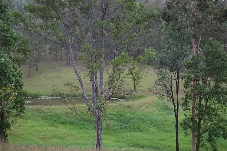 Third view of Homely rural property listing, Lot 77 of 339 Peckhams Road, Tabulam NSW 2469