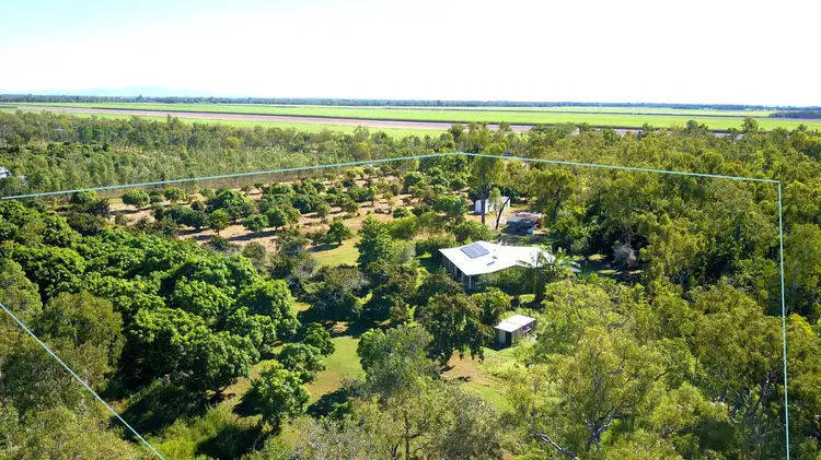 138 Ollimott Road, Mutarnee QLD 4816