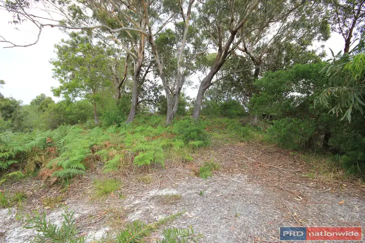 Second view of Homely land listing, 20 Birramal Drive, Dunbogan NSW 2443