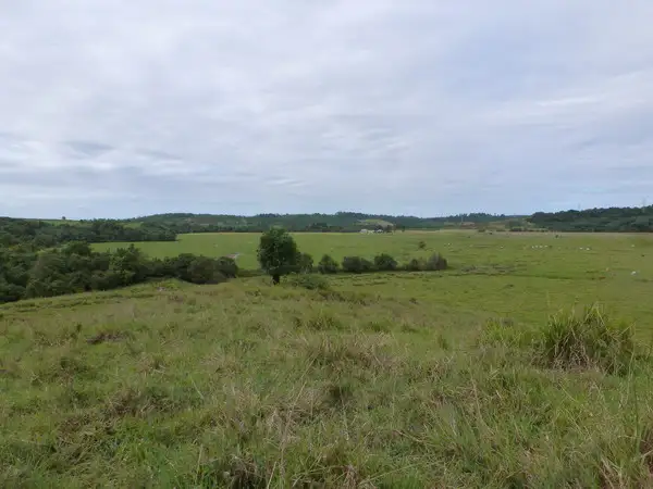 Main view of Homely rural property listing, Address available on request