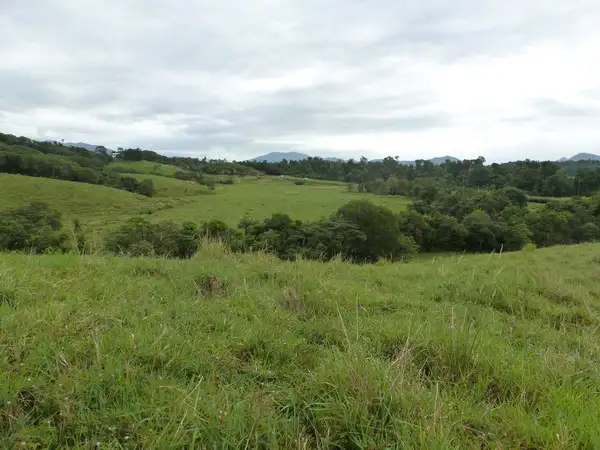 Sixth view of Homely rural property listing, Address available on request