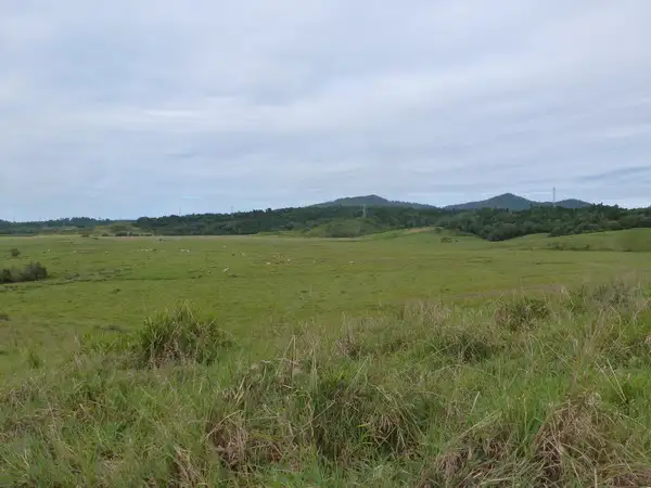 Seventh view of Homely rural property listing, Address available on request