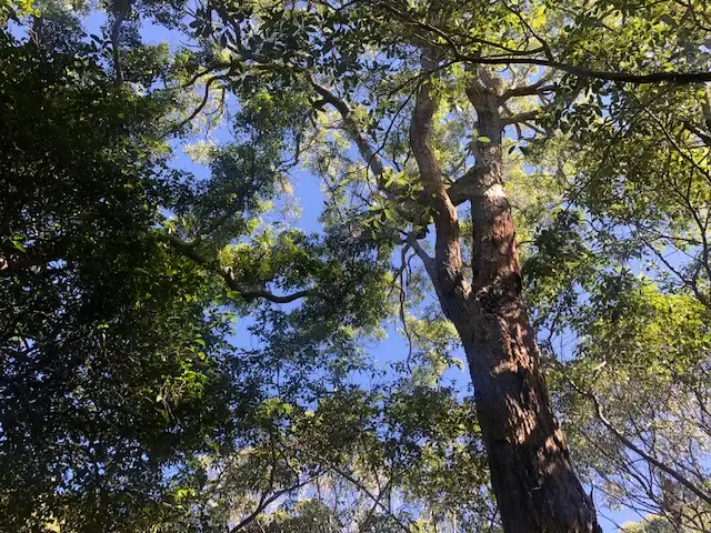 Address available on request