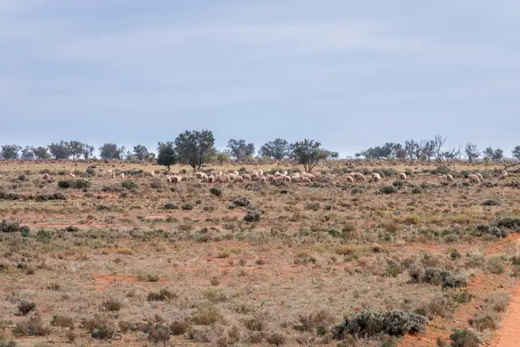 Eaglehawk Station, Broken Hill NSW 2880