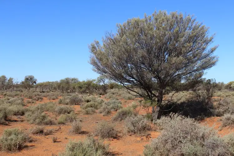 Fifth view of Homely rural property listing, Eaglehawk Station, Broken Hill NSW 2880