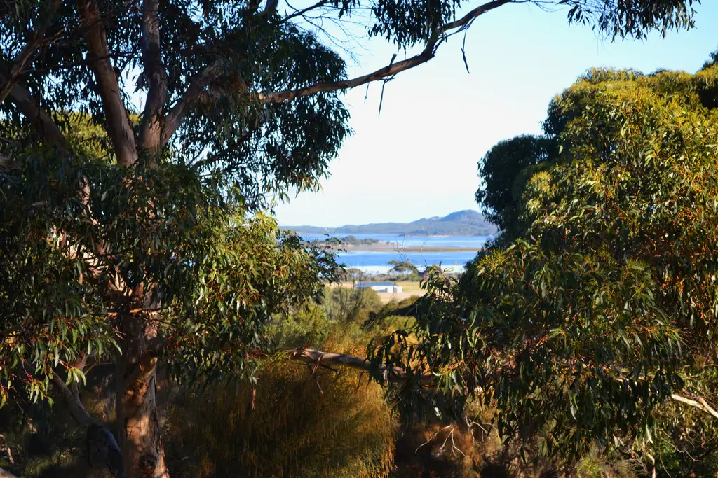 Main view of Homely land listing, 569 THOMAS ROAD, American River SA 5221