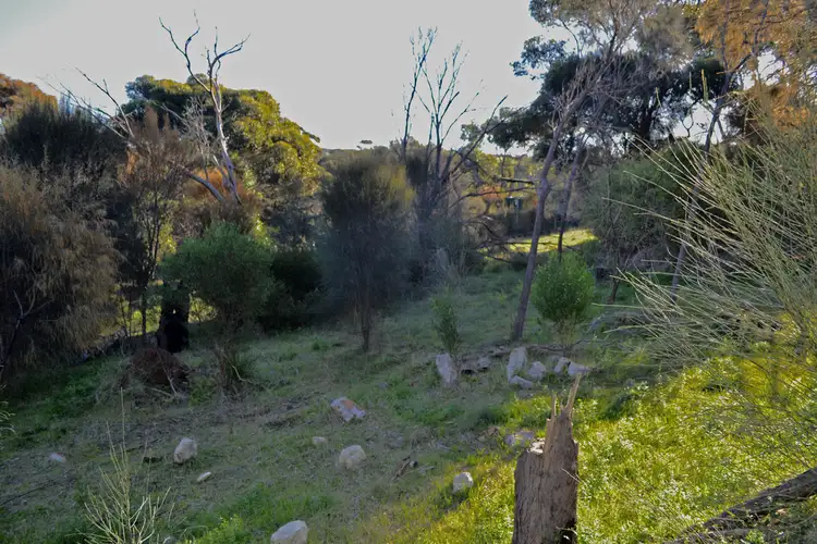 Second view of Homely land listing, 569 THOMAS ROAD, American River SA 5221
