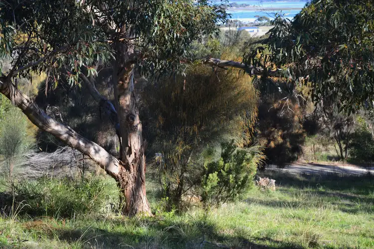 Fifth view of Homely land listing, 569 THOMAS ROAD, American River SA 5221