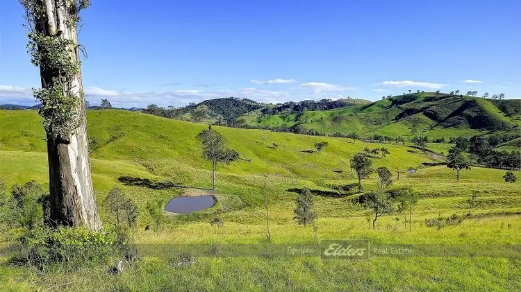Seventh view of Homely rural property listing, Lot 2/1610 The Bucketts Way, Gloucester NSW 2422