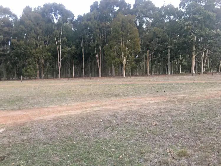 Sixth view of Homely rural property listing, Lot 4 Layman Road, Wonnerup WA 6280