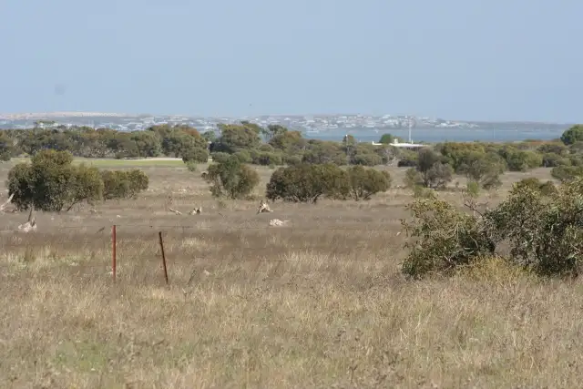 Main view of Homely rural property listing, Lot 2 Pygery-Pt Kenny Road, Port Kenny SA 5671